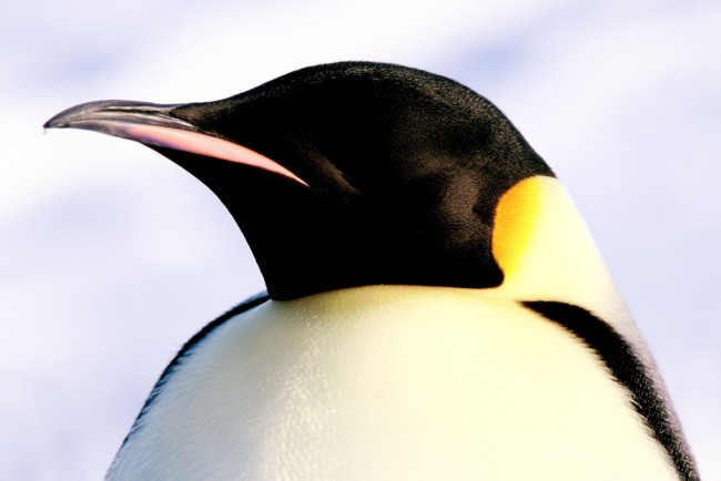 海外小ネタ 写真 海外ドラマ情報 クランクイン