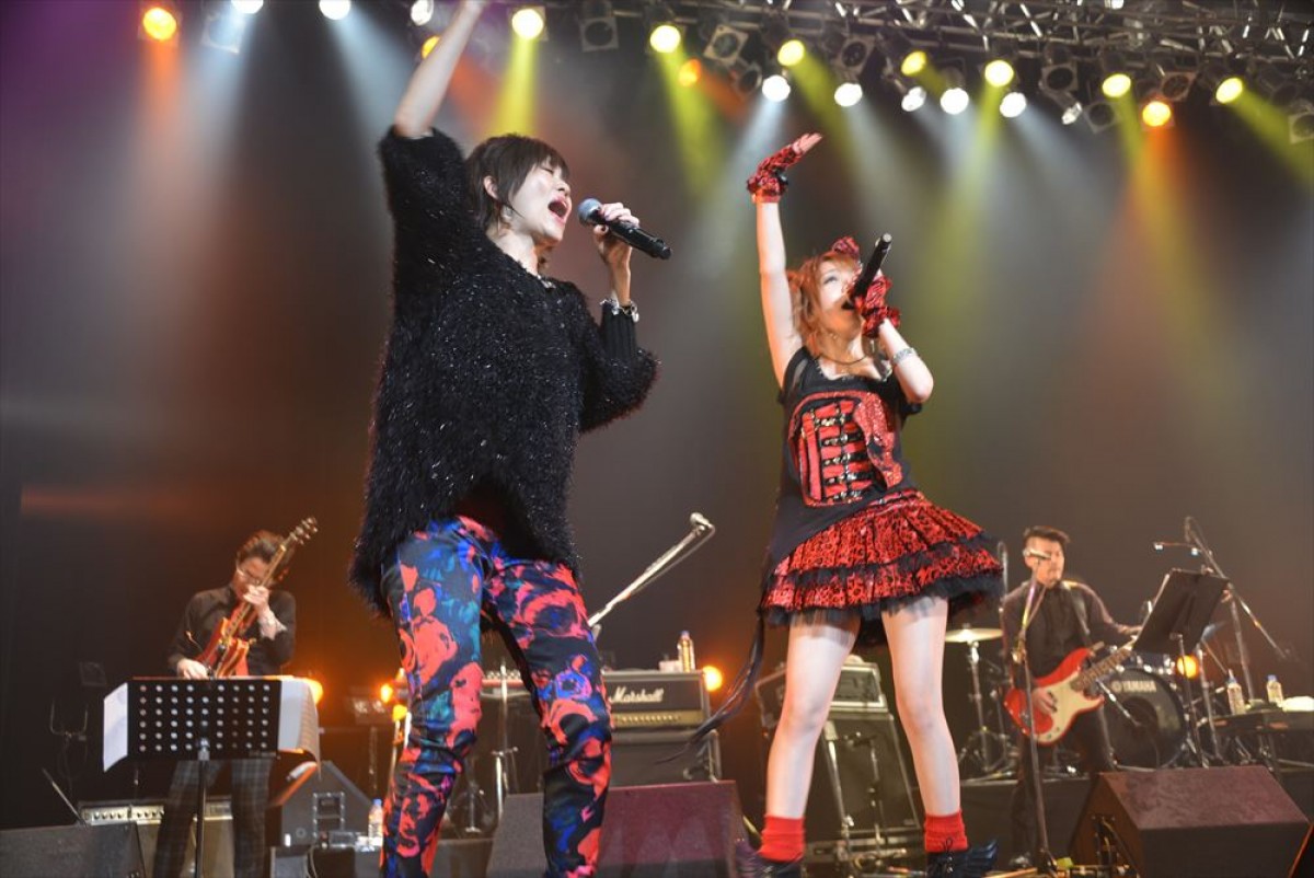 藤本美貴、カントリー娘。新メンバー募集に「私も関係あるんですか？」と期待!?