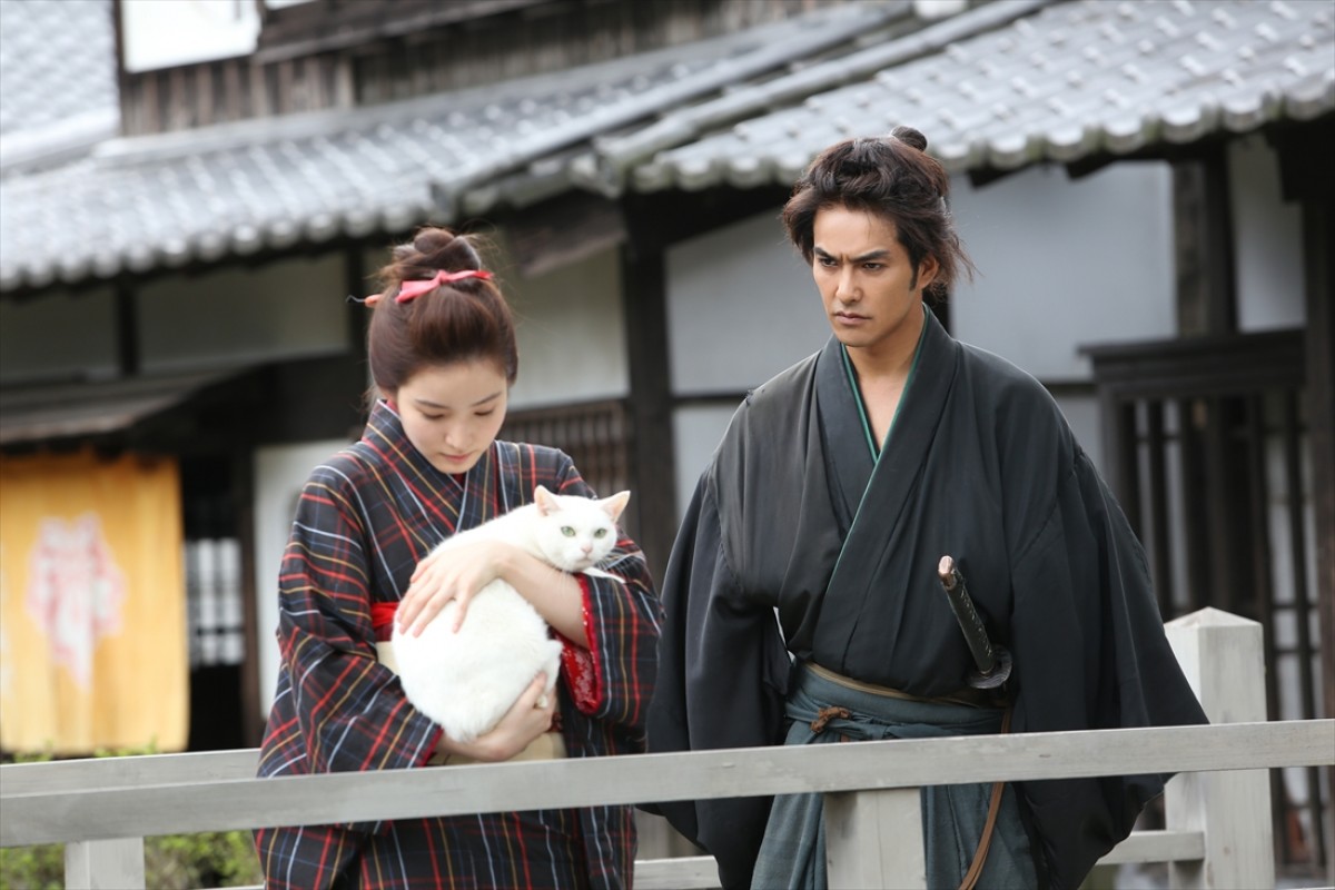 キュン死注意!?　猫好きにはたまらない激カワ『猫侍』フォト特集