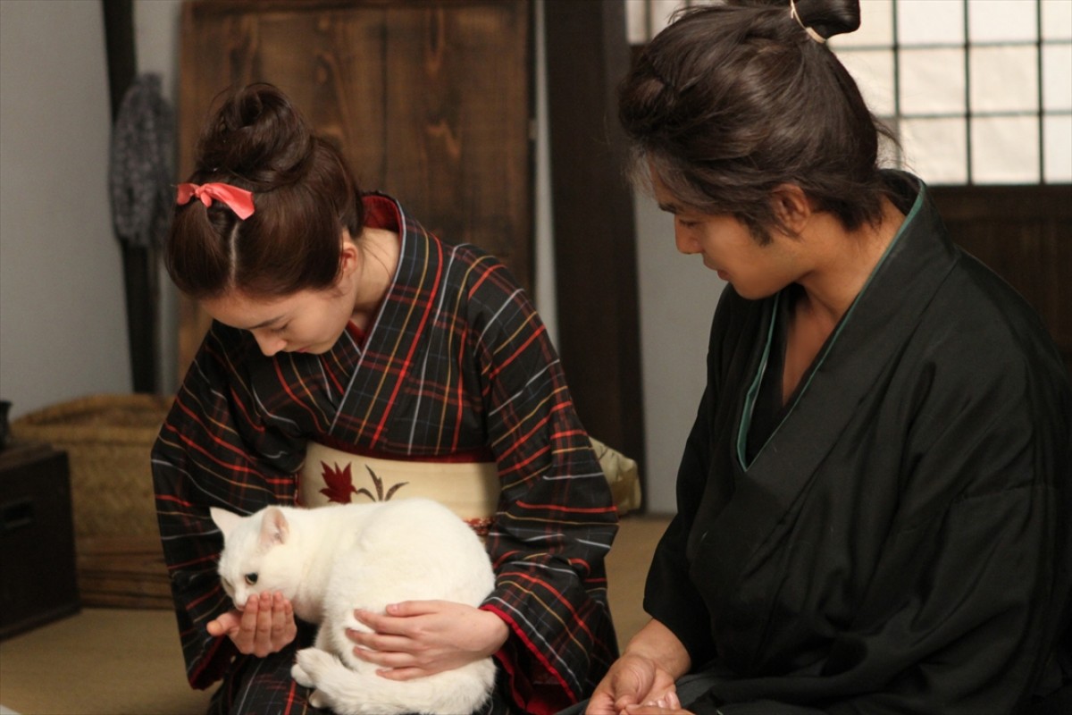 キュン死注意!?　猫好きにはたまらない激カワ『猫侍』フォト特集