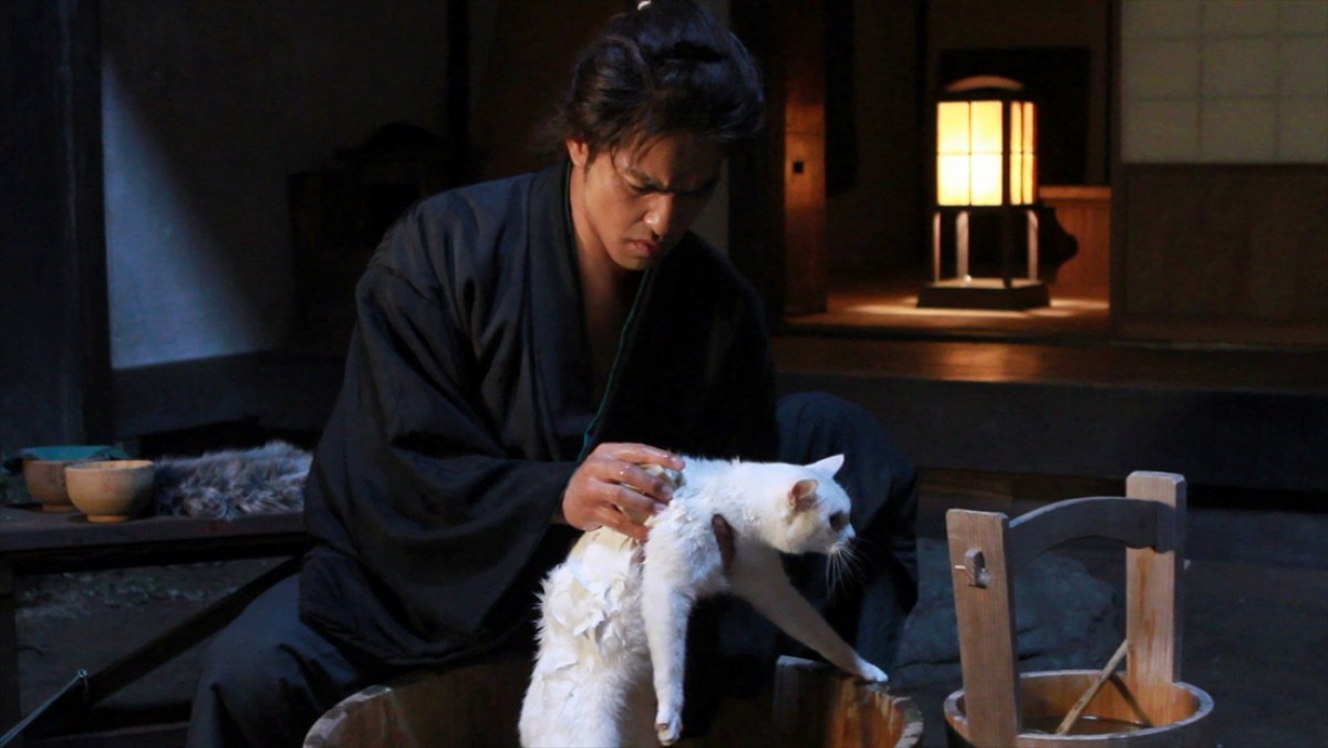 キュン死注意!?　猫好きにはたまらない激カワ『猫侍』フォト特集