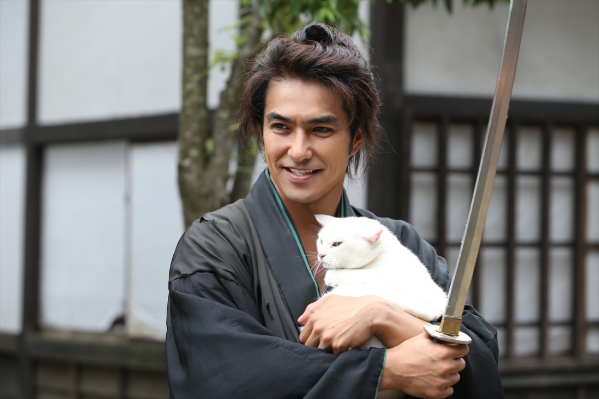 キュン死注意!?　猫好きにはたまらない激カワ『猫侍』フォト特集