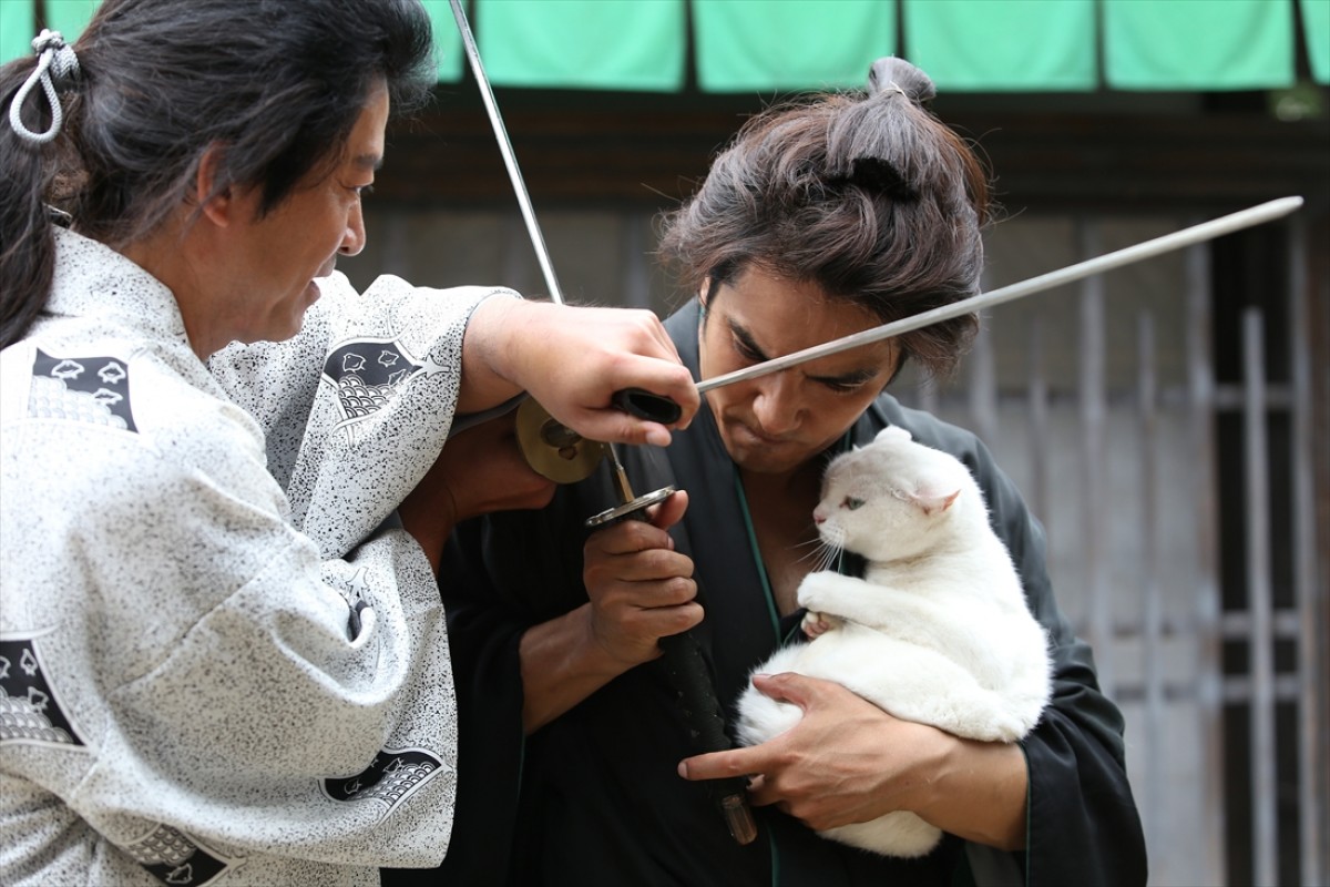キュン死注意!?　猫好きにはたまらない激カワ『猫侍』フォト特集