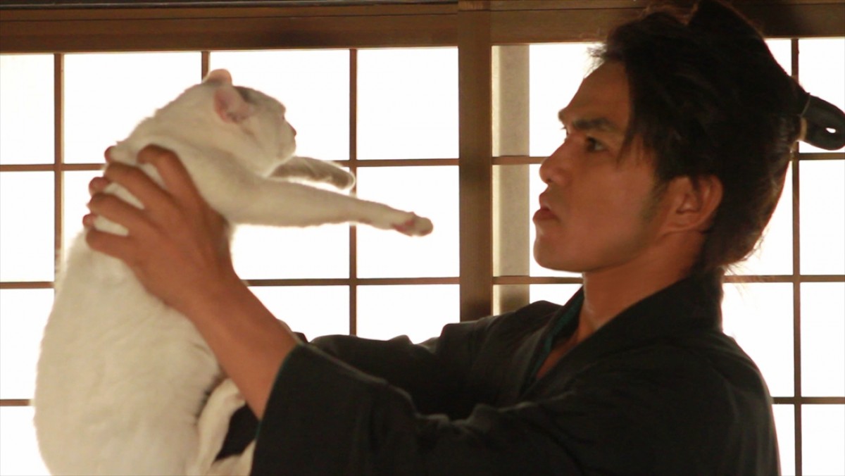 キュン死注意!?　猫好きにはたまらない激カワ『猫侍』フォト特集