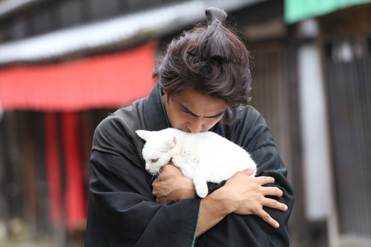 キュン死注意!?　猫好きにはたまらない激カワ『猫侍』フォト特集