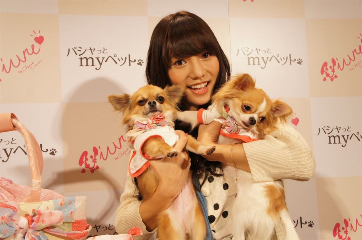 ペットファッションブランド『Vivre(ビーブル)』を立ち上げたAKB48・高城亜樹