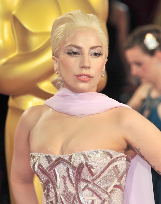 第86回アカデミー賞、The 86th Annual Academy Awards、20140302、レディー・ガガ  Lady Gaga