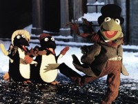 カエルだって安全に道を渡りたいんです！（※イメージ画像）