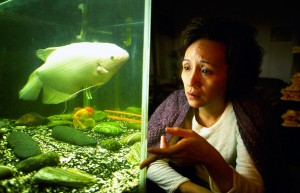 ロンドンの大型魚がピンクに変色　原因は食べたスナック菓子