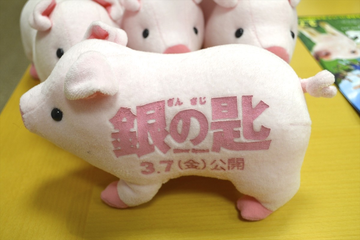 『銀の匙』御影アキ役の広瀬アリス、プレッシャー乗り越え“酪農女子”になれたと実感