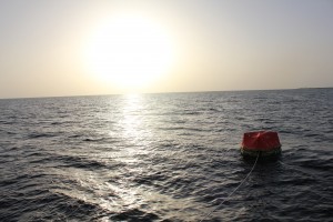 出演者ひとり、セリフなし、舞台は海の上。ロバート・レッドフォードは如何にして魅せてくれるのか。