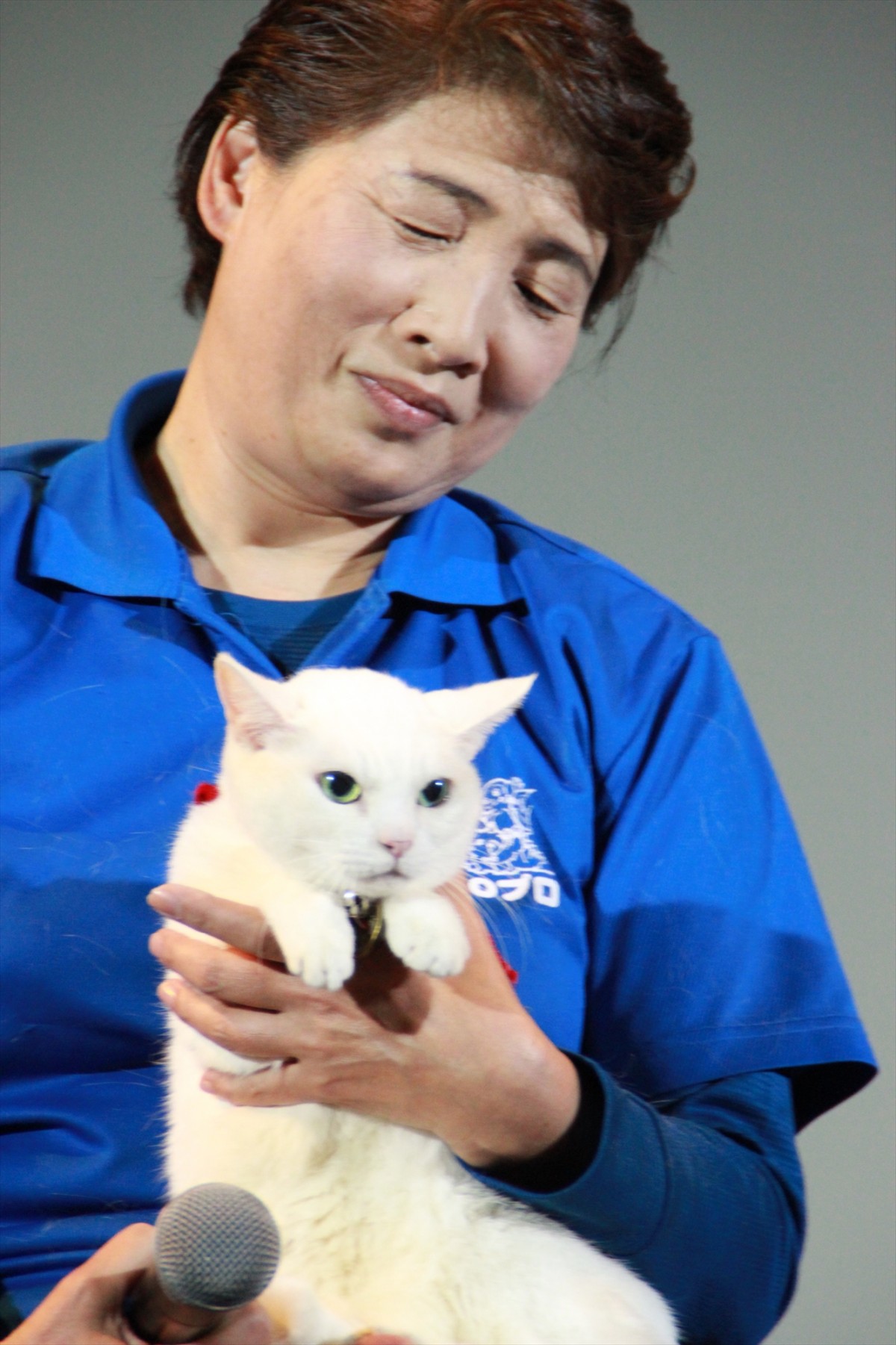 『猫侍』出演猫、実は3匹！「みんな逃走経験あり」トレーナー告白