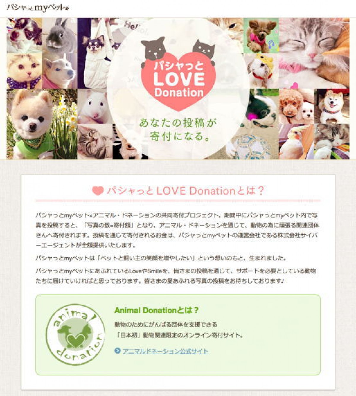 「パシャッとLOVE Donation~あなたの投稿が寄付になる~」