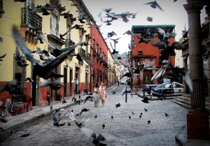 アパートの屋根から謎の火災発生！調査の結果、放火犯は…まさか、ハト!?