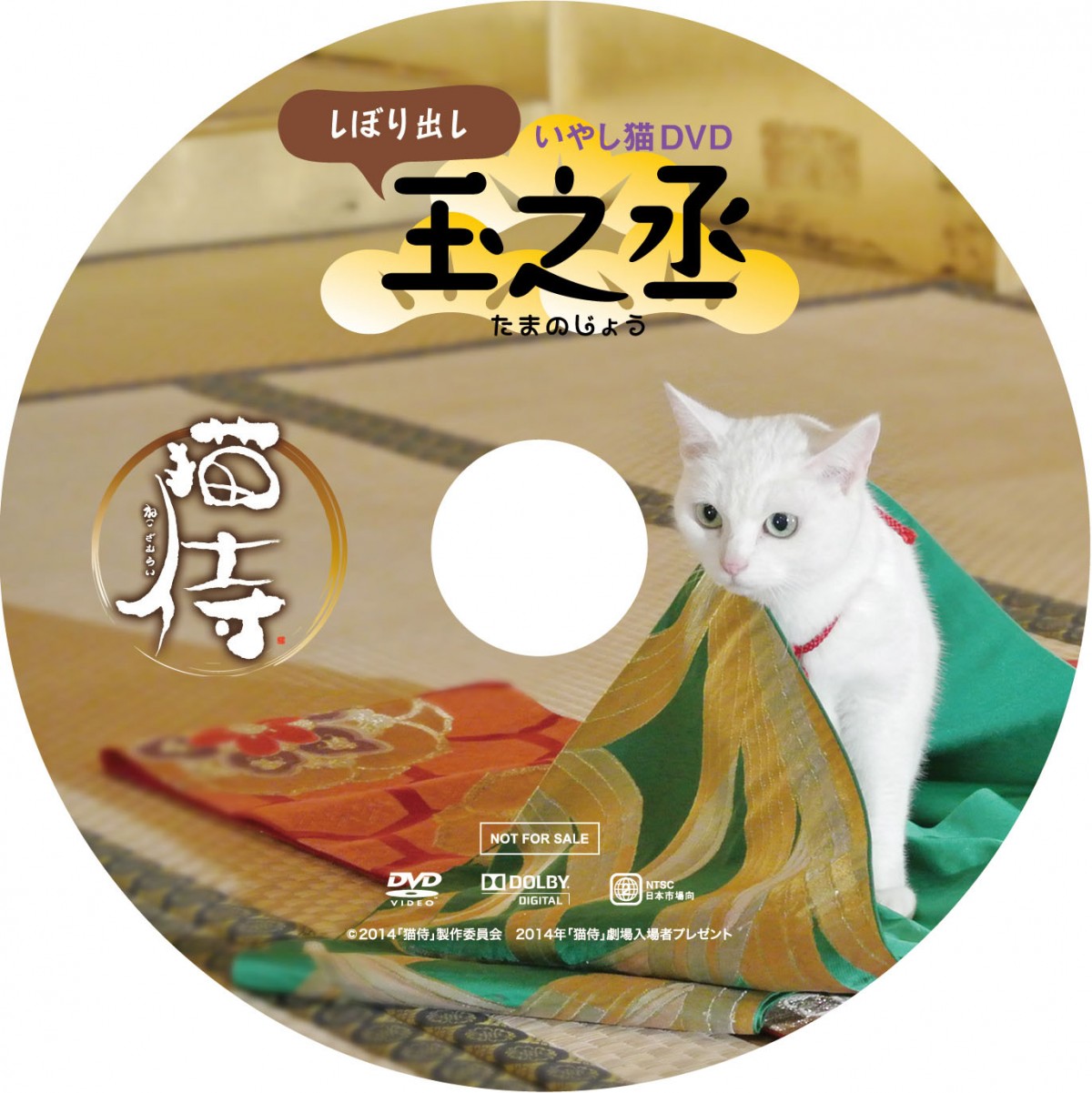 『猫侍』玉之丞の萌える秘蔵オフショット入手！ 三匹の白猫の見分け方も判明