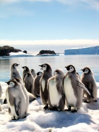 早くセーターを着ないで済むようになって欲しいですね。