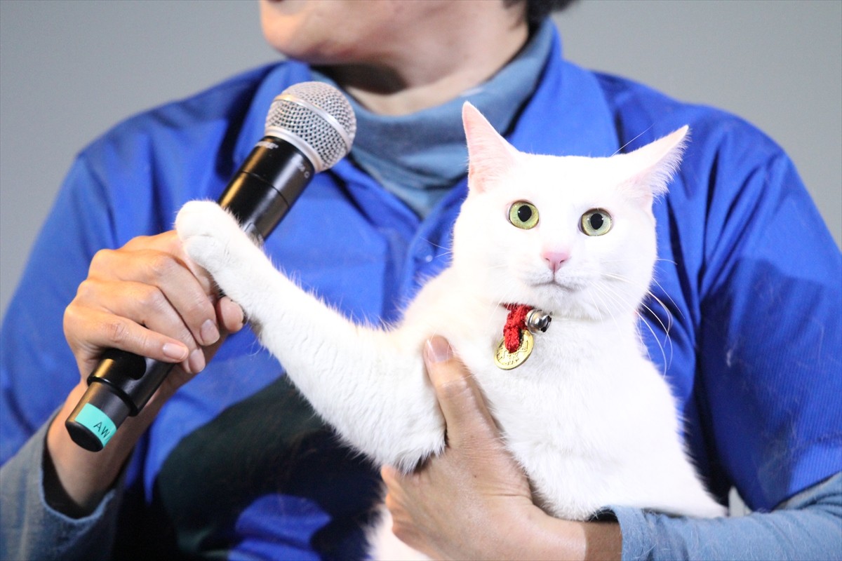 『猫侍』の玉之丞、同居中の猫と熱愛中!?も「乙女なので」と照れる