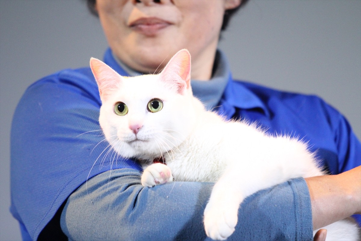 『猫侍』の玉之丞、同居中の猫と熱愛中!?も「乙女なので」と照れる