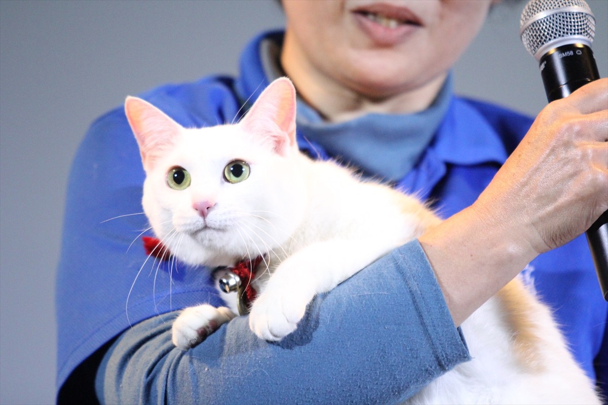 『猫侍』の玉之丞、同居中の猫と熱愛中!?も「乙女なので」と照れる
