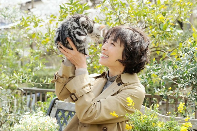 『グーグーだって猫である』 今度は連続ドラマとして2度目の映像化