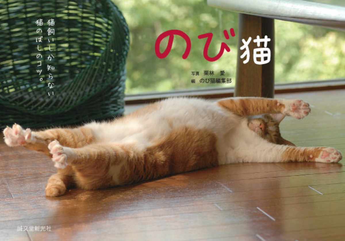 「のび～」ってしてる猫が満載！猫のばしのコツも学べる、写真集『のび猫』発売