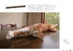 『のび猫　猫飼いしか知らない猫のばしのコツ。』のび猫写真を一部公開