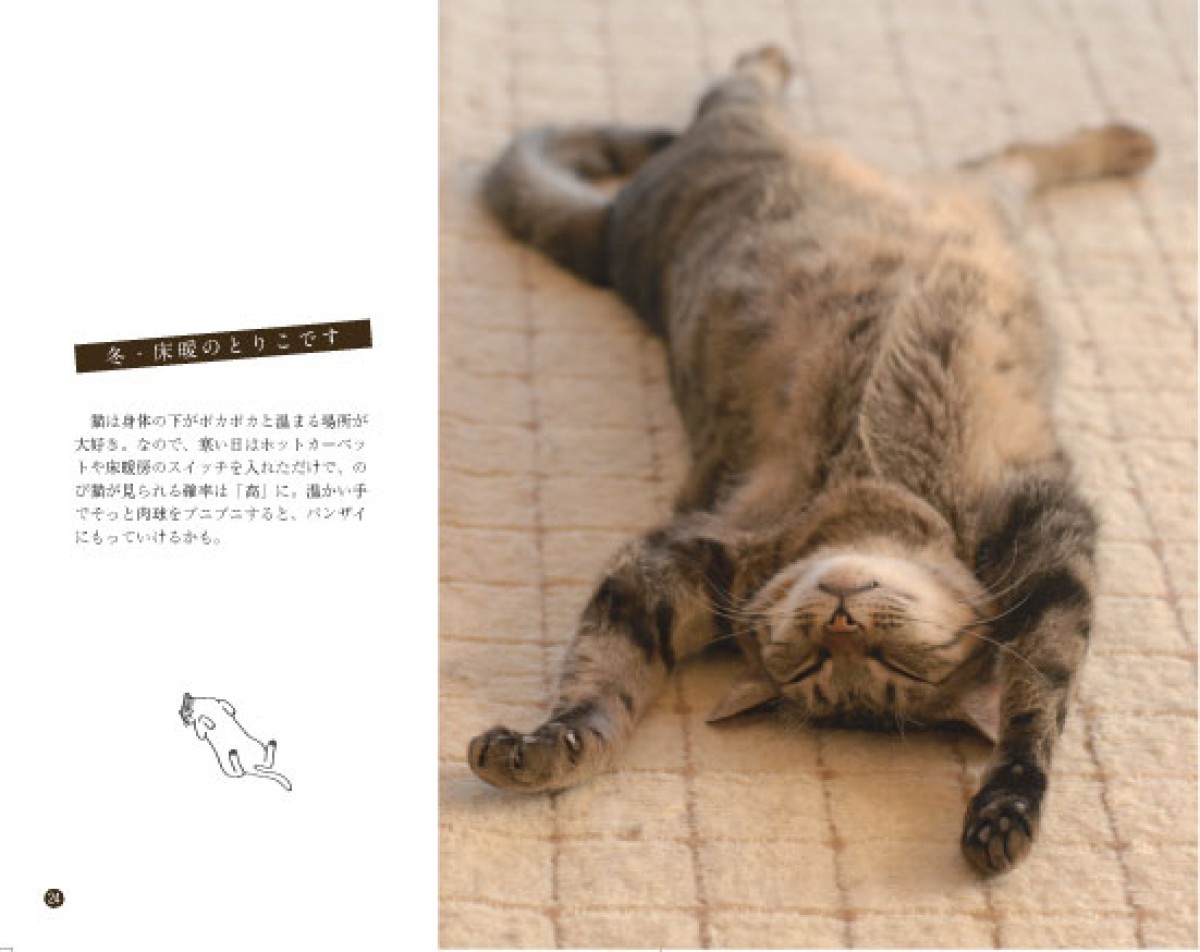 「のび～」ってしてる猫が満載！猫のばしのコツも学べる、写真集『のび猫』発売