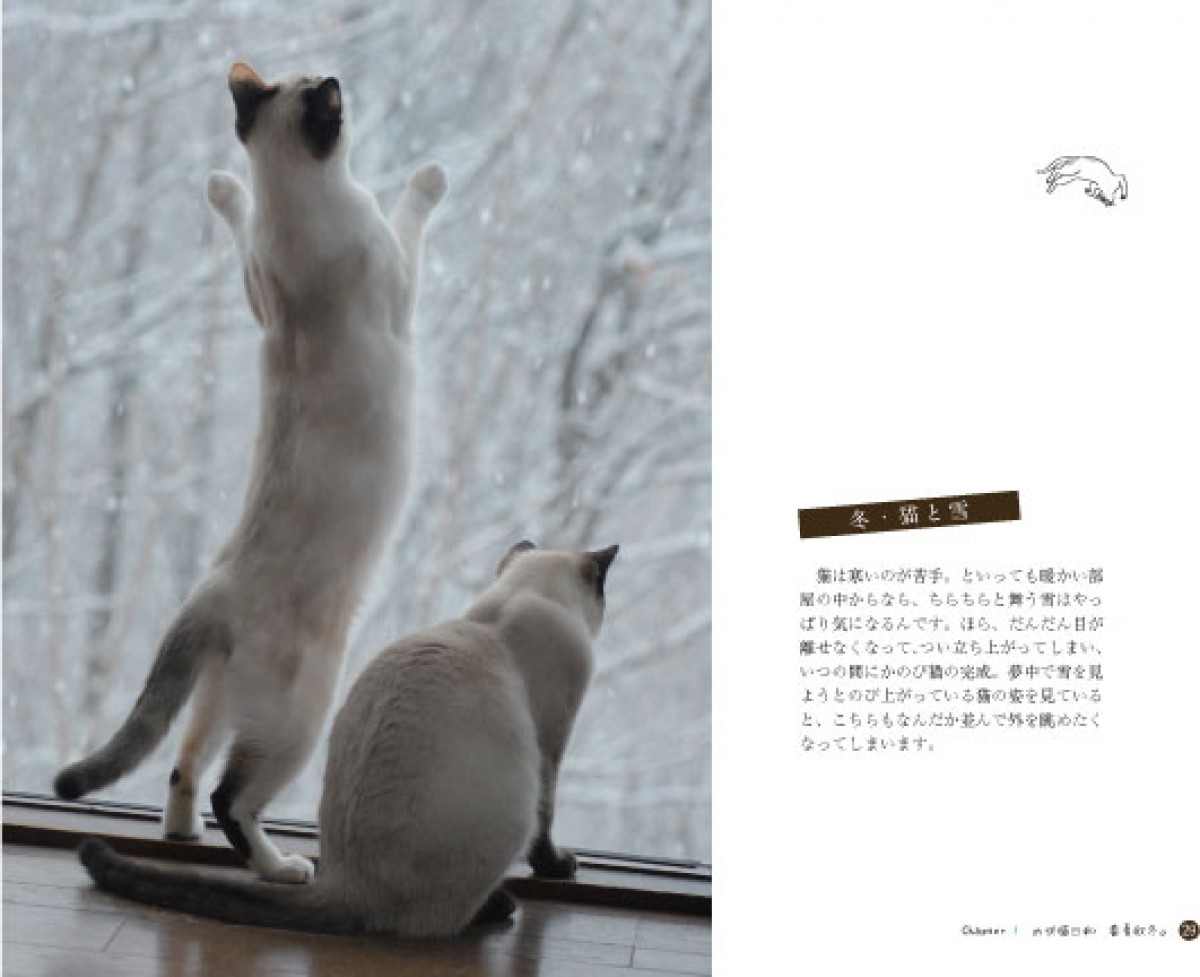 「のび～」ってしてる猫が満載！猫のばしのコツも学べる、写真集『のび猫』発売