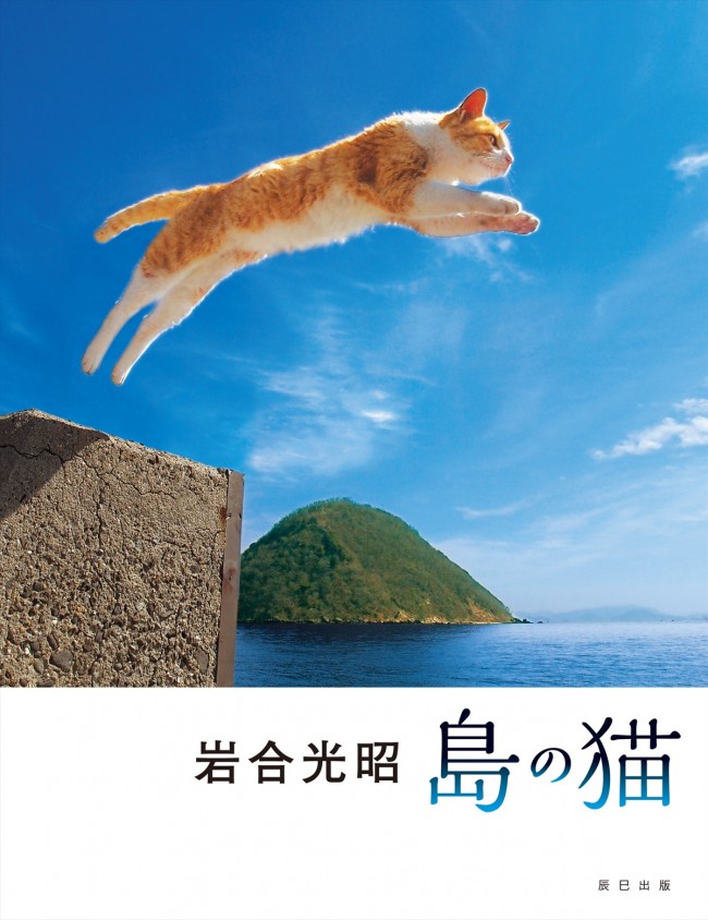 動物写真家・岩合光昭氏による最新猫写真集『岩合光昭　島の猫』
