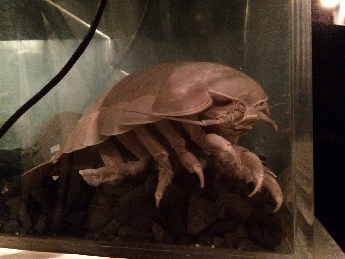 ニコニコ超会議3に行ってみたフォト特集！コンパニオン・ふなっしー・進撃の巨人まで