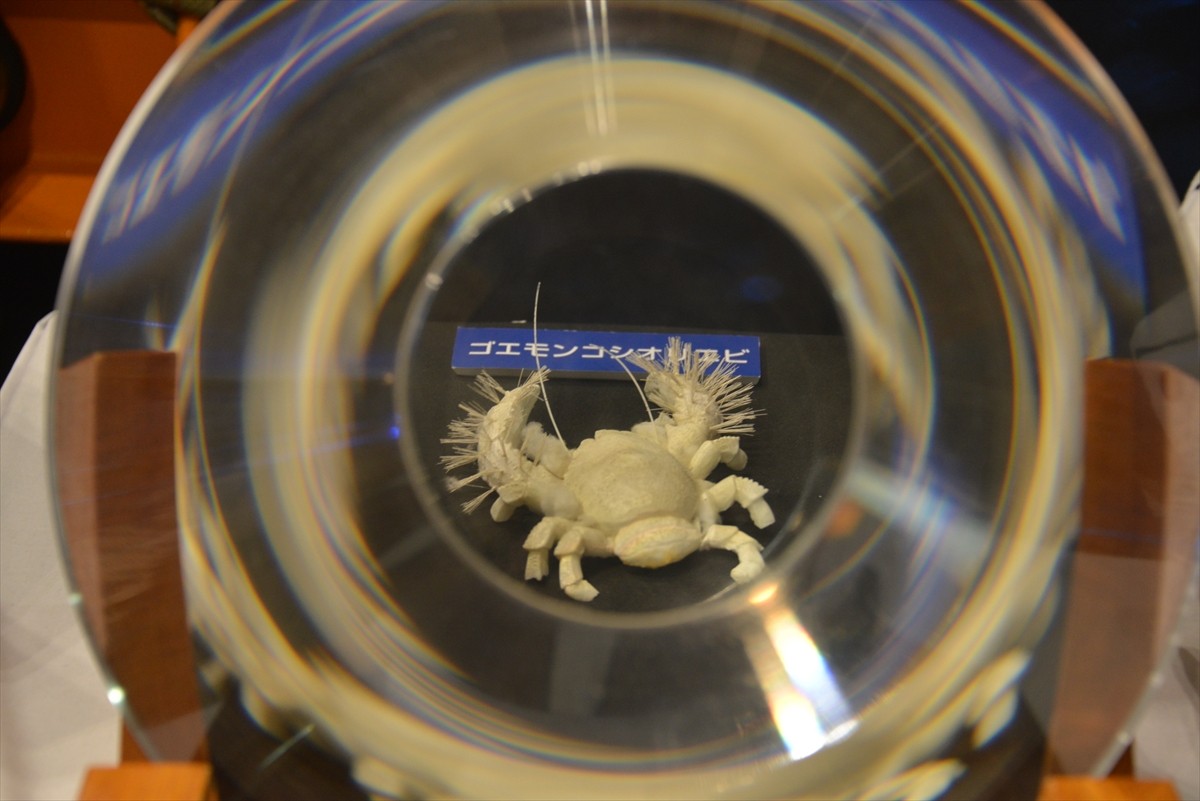 ニコニコ超会議