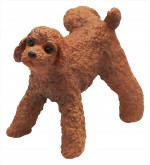 『マーキング犬』トイプードル（レッド）