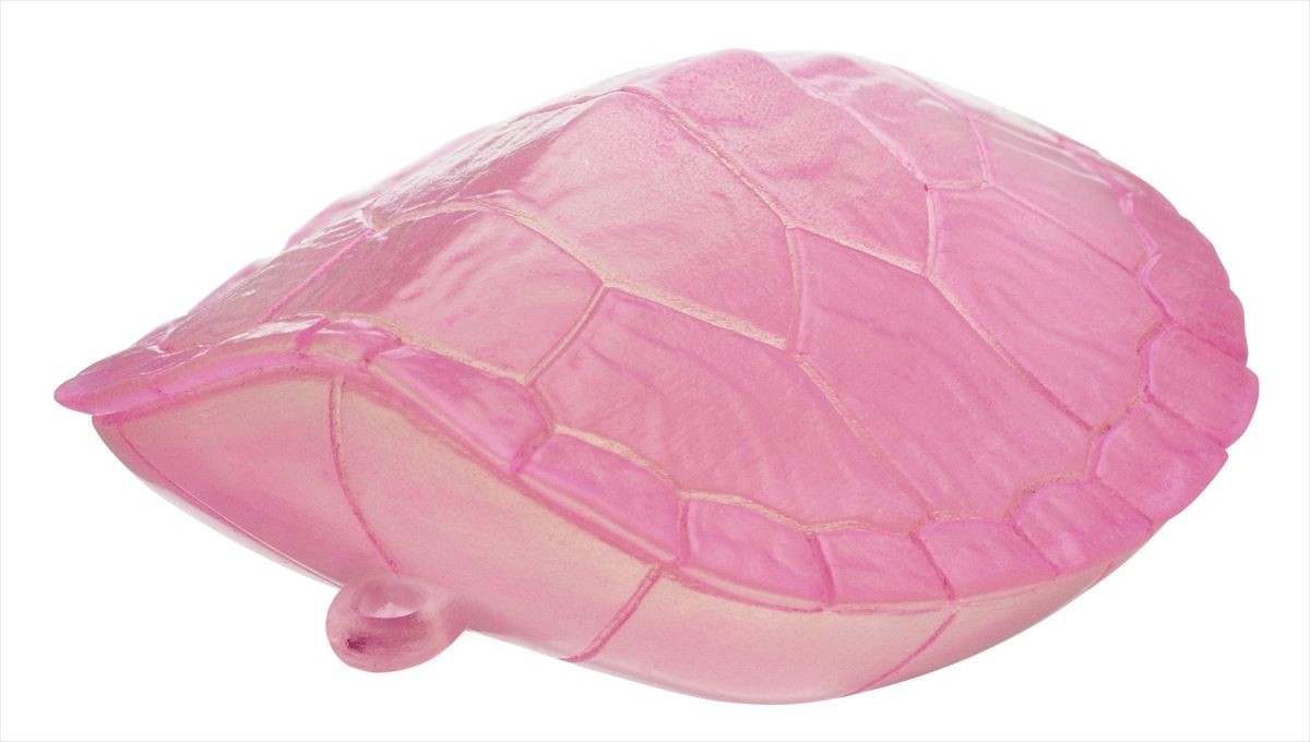 リアルな甲羅がキモカワ！「カメのケース」がカプセルトイで発売