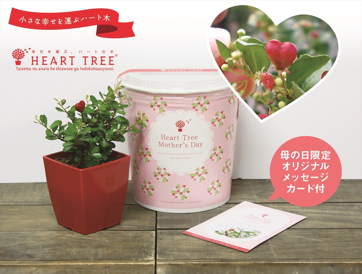 世にも珍しいハートのなる木「ハートツリー」が大人気！ 母の日限定版も販売