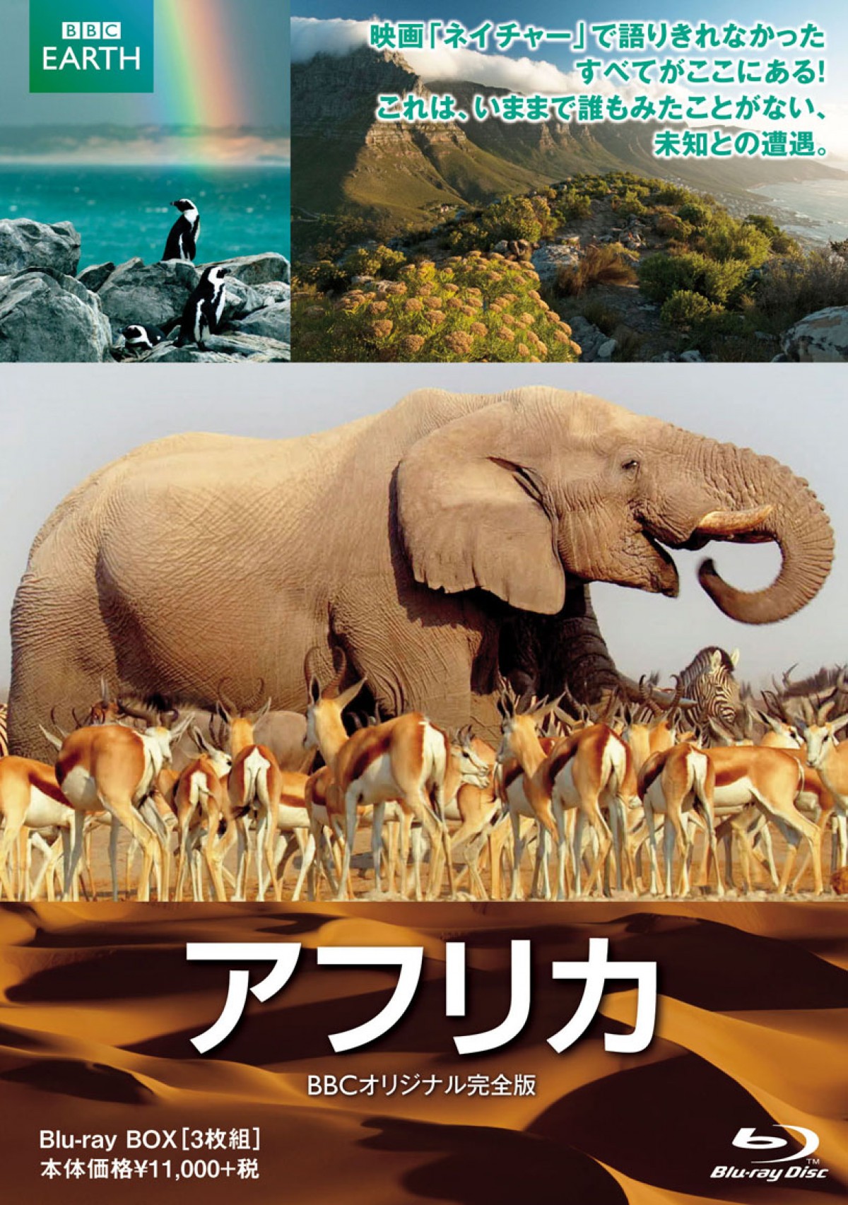 玉木宏、動物に生まれ変わるなら「フラミンゴ」　その意外な理由とは？