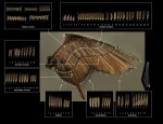 物語上で重要な鍵を握るマレフィセントの羽のCG