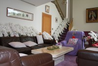 ｢美空ひばり記念館｣リビング