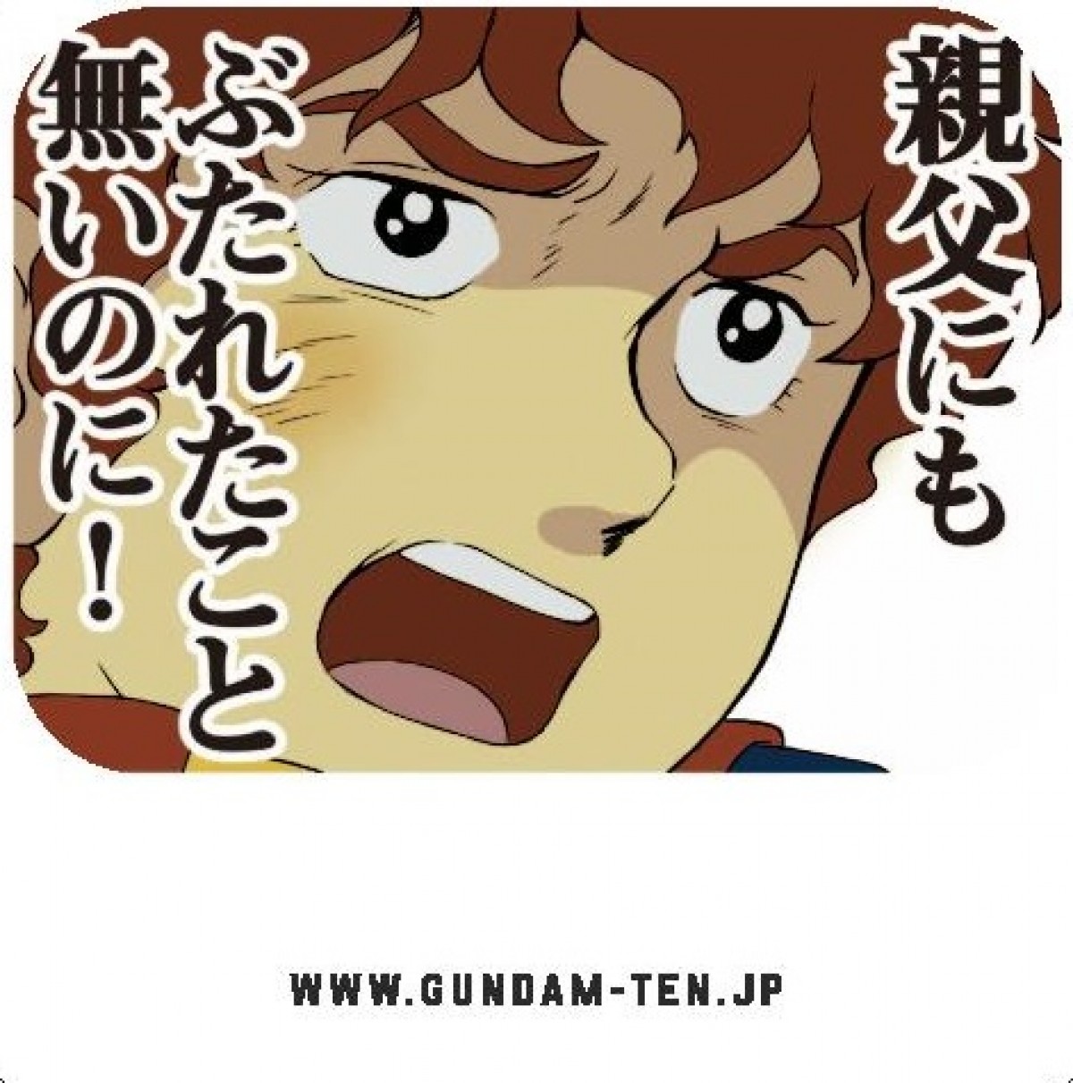 ガンダム名セリフ 名場面コースターも登場 機動戦士ガンダム展 大阪で開催 14年6月26日 アニメ クランクイン