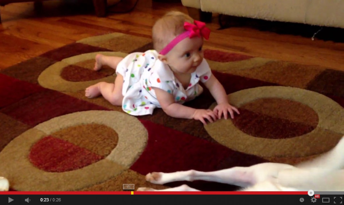 犬が赤ちゃんに“ハイハイ”を教える動画が世界で人気！おもしろ可愛い特訓にほっこり