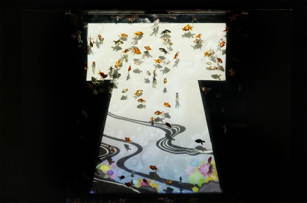 5000匹の金魚と光が幻想的な世界を演出！新感覚の水中アートが日本橋に出現！