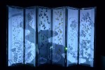 「アートアクアリウム」暗闇の中、日本の美を演出！