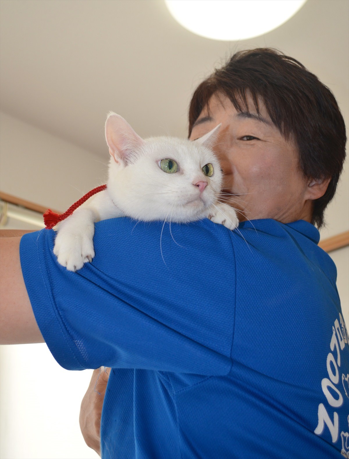 『猫侍』あなご、知られざる生い立ちとは？北村一輝をもメロメロにした白猫の魅力に迫る