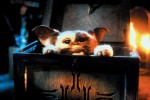 『グレムリン』新作はリメイクではなく、オリジナルの30年後を描く続編か