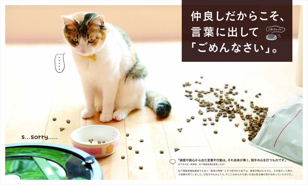 おそうじロボ「ルンバ」初のフォトエッセイ発売！　猫と仲間になり、人形に恋をする