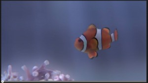 ニモが危ない！過激すぎる「環境保護」訴えの動画公開