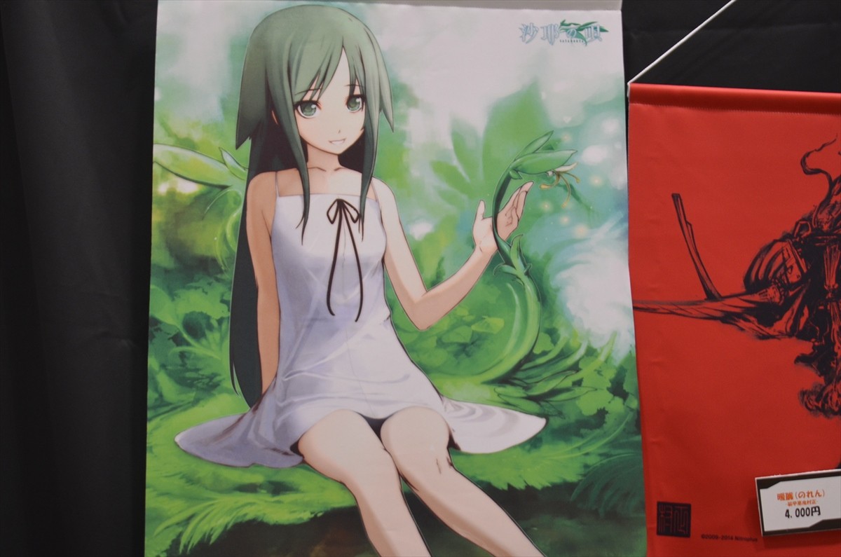 ワンダーフェスティバル