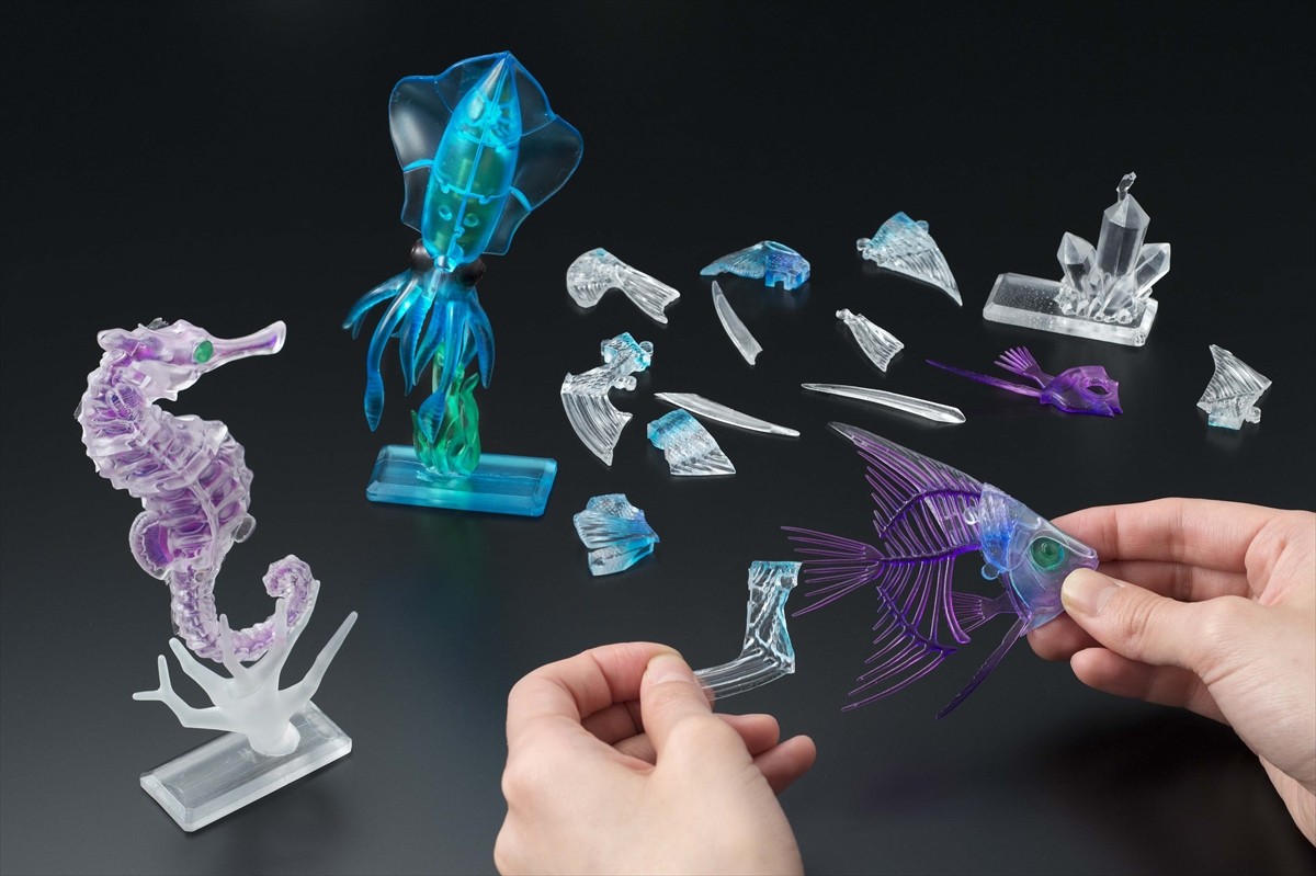 標本なのに美しい！　話題の「透明標本」を再現した立体パズルが登場