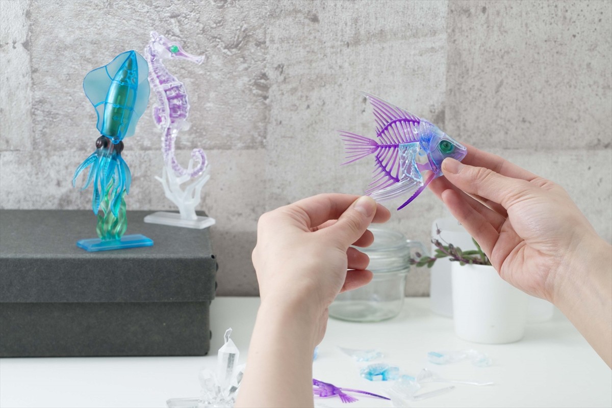 標本なのに美しい！　話題の「透明標本」を再現した立体パズルが登場