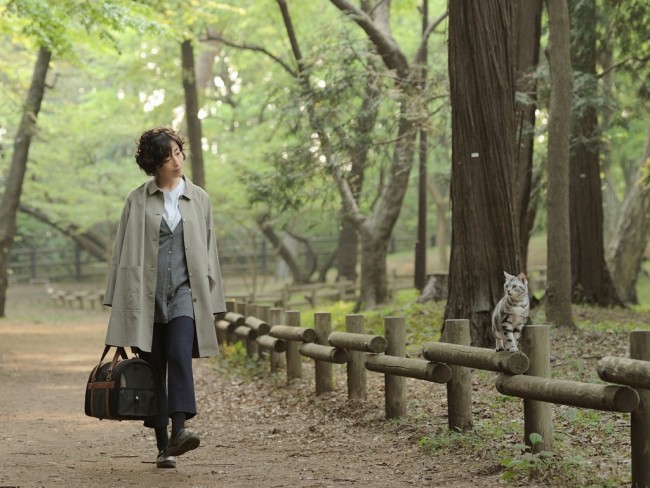 ドラマ『グーグーだって猫である』 麻子(宮沢りえ)とグーグーの生活を映した特報映像解禁!