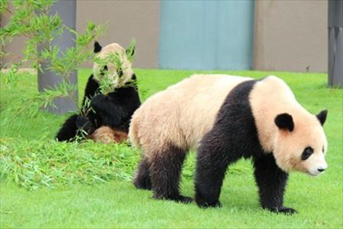 「動物園＆水族館編」人気ランキング発表！大阪・海遊館がアジアトップの快挙